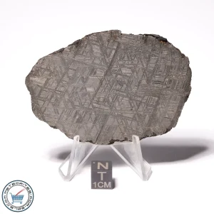 Muonionalusta Meteorite 113.9g Slice