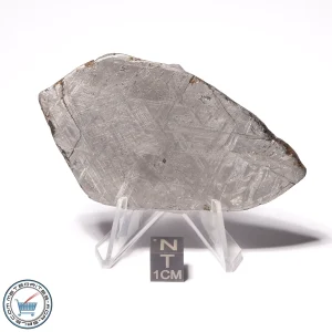 Muonionalusta Meteorite 81.9g Slice