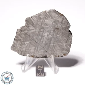 Muonionalusta Meteorite 100.0g Slice