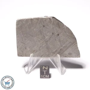 Muonionalusta Meteorite 124.4g End-Cut