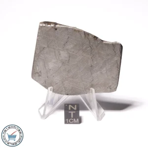 Muonionalusta Meteorite 148.2g End-Cut