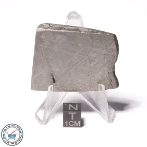 Muonionalusta Meteorite 97.7g End-Cut