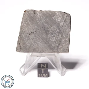 Muonionalusta Meteorite 87.6g End-Cut