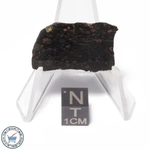 NWA 4502 Meteorite 3.9g Slice