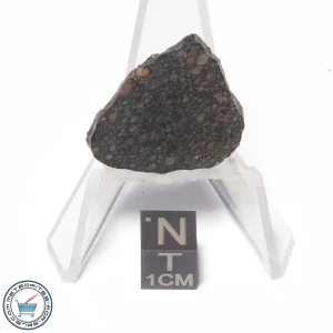 NWA 4502 Meteorite 4.6g Slice