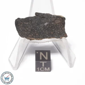 NWA 4502 Meteorite 10.0g End-Cut