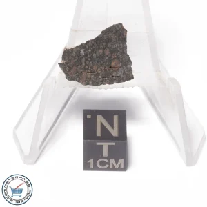 NWA 4502 Meteorite 1.5g Slice