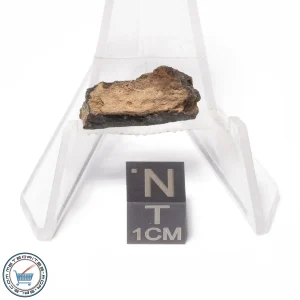 NWA 4502 Meteorite 1.6g End-Cut