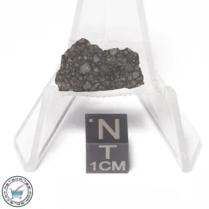 NWA 4502 Meteorite 1.6g End-Cut
