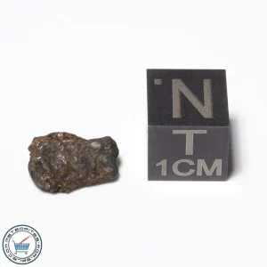 Admire Pallasite Meteorite 0.69g