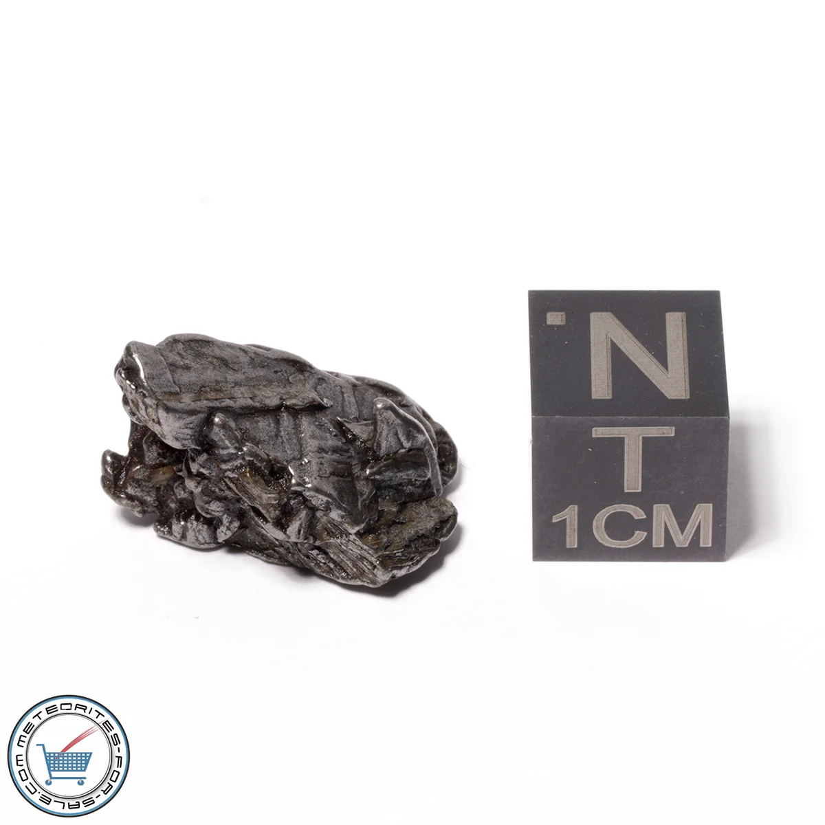 Aletai Meteorite 6.1g Crystal