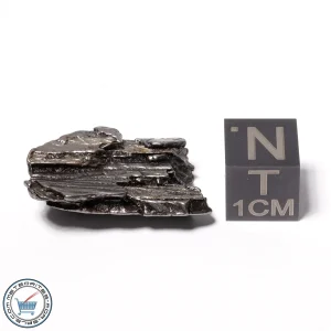 Aletai Meteorite 9.1g Crystal