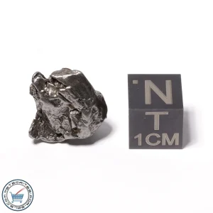 Aletai Meteorite 6.6g Crystal