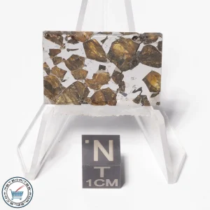 Brahin Pallasite Meteorite 6.6g