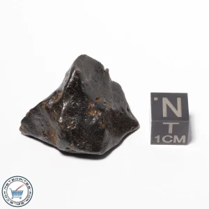 Canyon Diablo Meteorite 24.2g