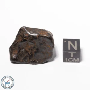 Canyon Diablo Meteorite 19.4g