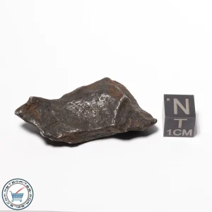 Canyon Diablo Meteorite 26.0g