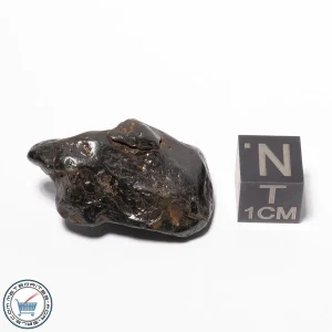 Canyon Diablo Meteorite 18.5g