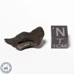 Canyon Diablo Meteorite 4.6g