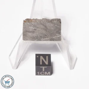 Muonionalusta Meteorite 10.0g