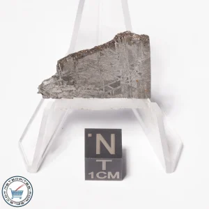 Muonionalusta Meteorite 6.8g