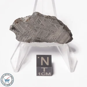 Muonionalusta Meteorite 17.6g