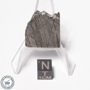 Muonionalusta Meteorite 16.2g
