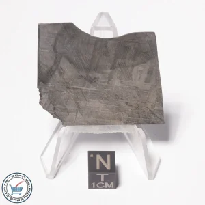 Muonionalusta Meteorite 18.3g
