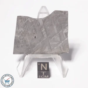 Muonionalusta Meteorite 27.4g