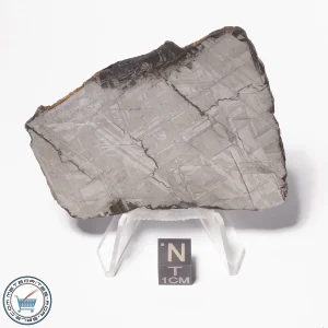 Muonionalusta Meteorite 72.3g