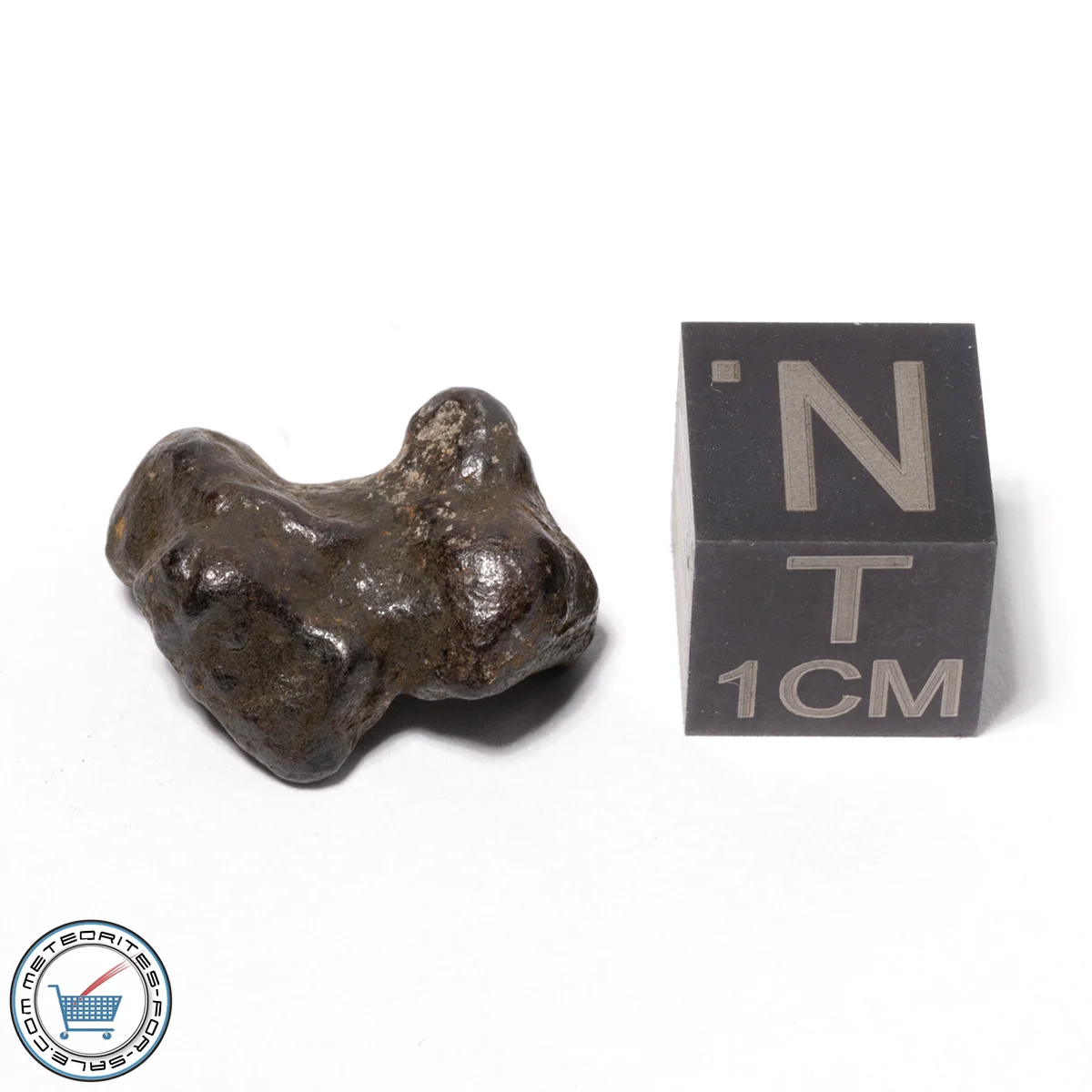 Sericho Pallasite Individual 3.58g