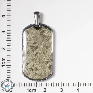 Aletai Meteorite Pendant