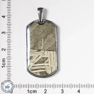 Aletai Meteorite Pendant