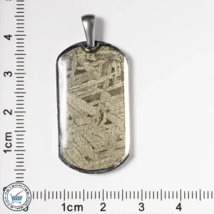 Aletai Meteorite Pendant